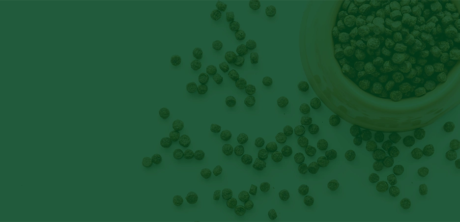 FRAMFOODS